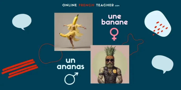 masculine and feminine in french