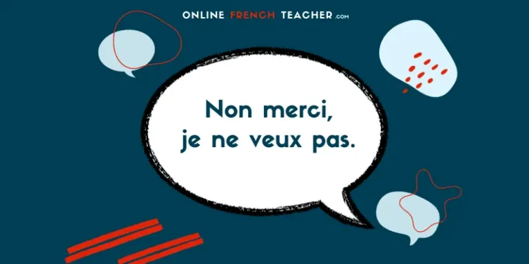Negative sentences in French