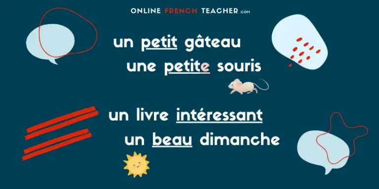 Position and agreement of French adjectives