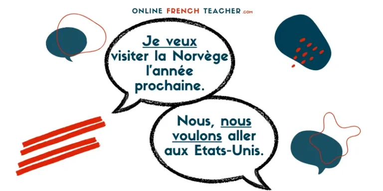 the verb vouloir in French